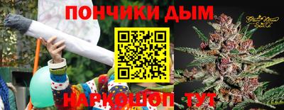 шишки Кингисепп
