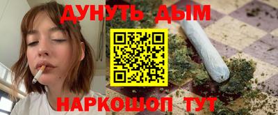 шишки Кингисепп